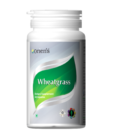 WHEAT GRASS-370x444
